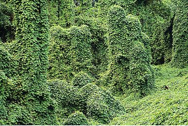 模拟经营视觉小说《月上咖啡店》Steam页面 明年发售